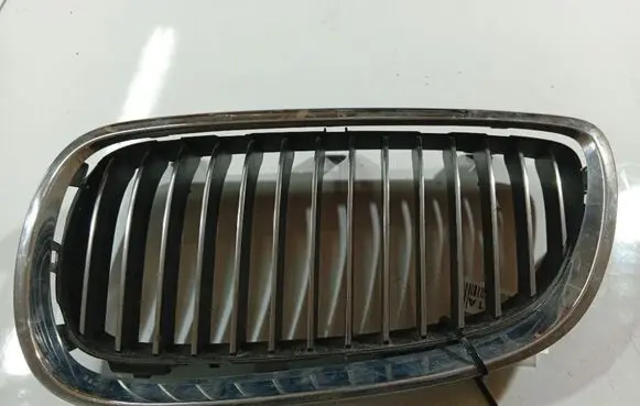 BMW 3 E90 E91 Front bumper lower grill 1020240507