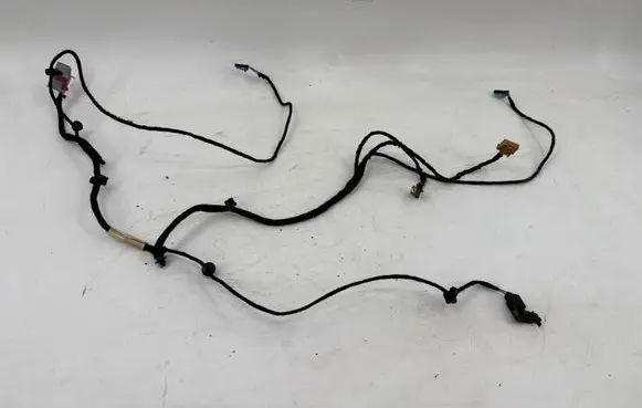 Volkswagen PASSAT B6 Front door wiring loom 3C1971557AJ