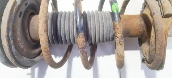 Peugeot 206 Front coil spring