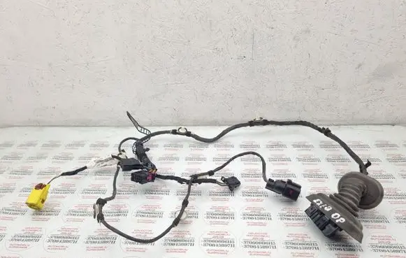 Front door wiring loom
