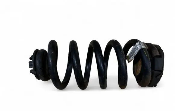 Rear coil spring