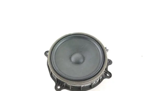 Tesla Model 3 Front door speaker 107974400E