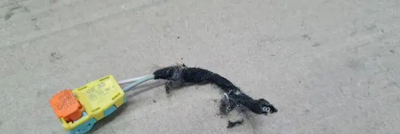 Audi A4 S4 B8 8K Other wiring loom 8T0972562A
