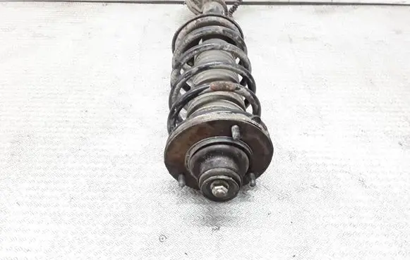 Land Rover Freelander Rear shock absorber with coil spring 