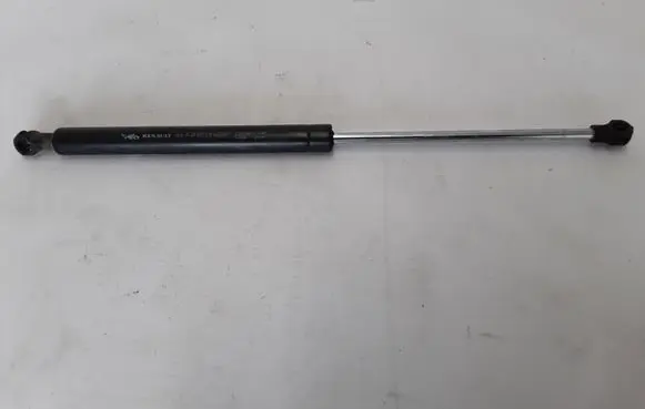 Tailgate strut