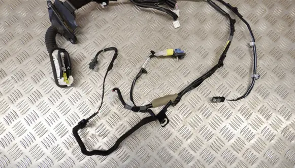 Lexus ES 250 - 300 - 330 Front door wiring loom 8215233M50
