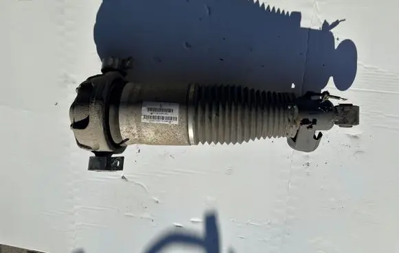 Porsche Cayenne (9PA) Rear shock absorber/damper