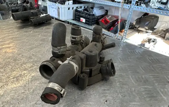 Thermostat/thermostat housing