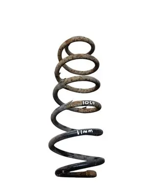 Volkswagen New Beetle Rear coil spring 