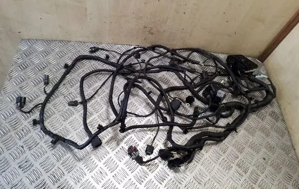 Chevrolet Orlando Other wiring loom 95197387