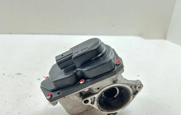 EGR valve