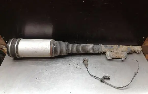 Mercedes-Benz S W220 Air suspension rear shock absorber C086054J 010213034156