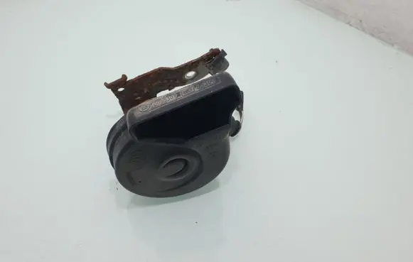 Volkswagen PASSAT B7 Horn signal E30055307
