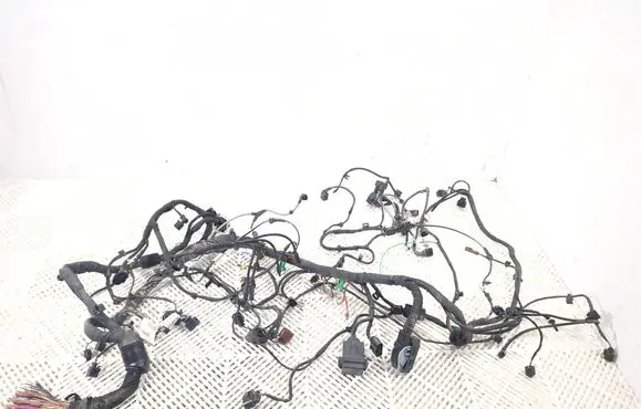 Audi A8 S8 D5 Wiring harness 4N1970257A HM60052074 4N1970038B