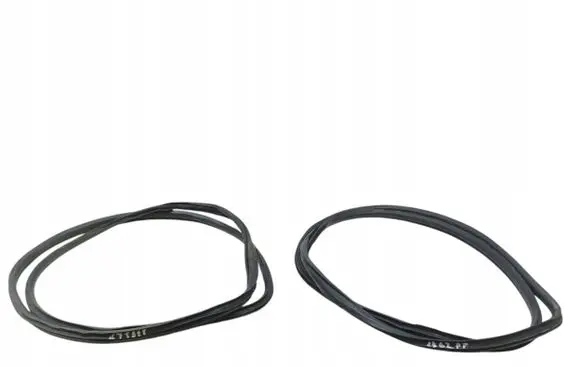 Honda Civic X Rubber seal front door (on door) 