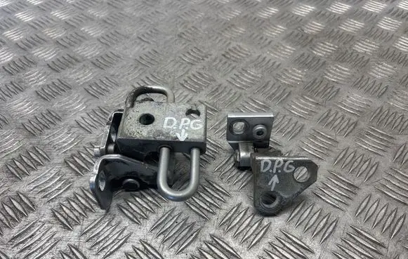 Volkswagen Golf V Rear door hinge set 