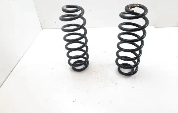 Volkswagen PASSAT B6 Rear coil spring