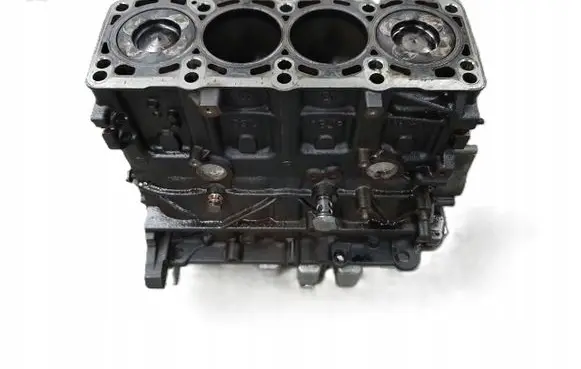 Skoda Roomster (5J) Engine block 03L021BJ