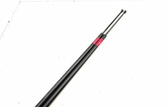 Tailgate/trunk strut/damper