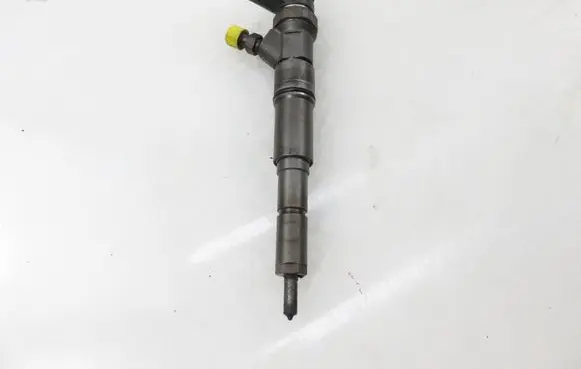 BMW 3 E46 Fuel injector 7789661 0445110131