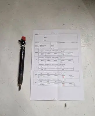 Citroen C5 Fuel injector 9686191080 EMBR00101D