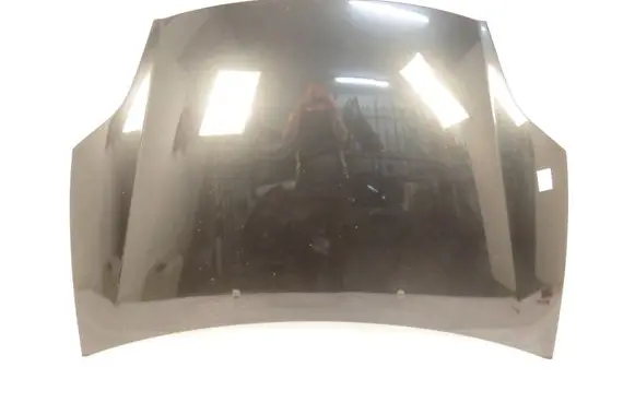 Fiat Bravo Engine bonnet/hood