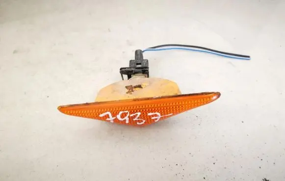 Ford Focus Front fender indicator light