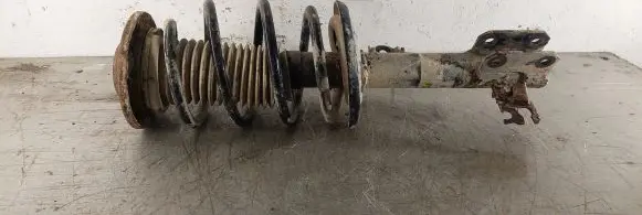 Opel Signum Front shock absorber with coil spring