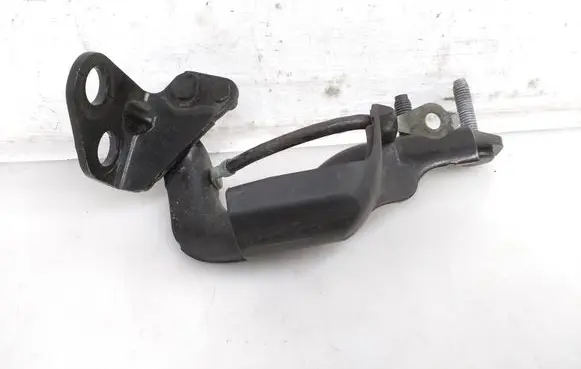 Tailgate/trunk/boot hinge