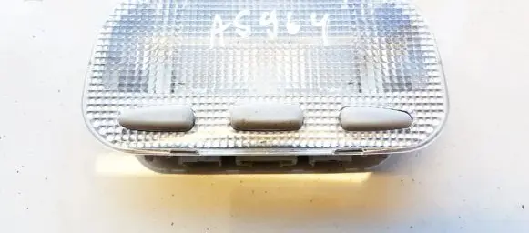 Peugeot 407 Front seat light