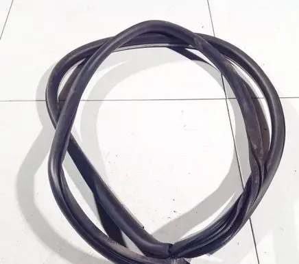 Renault Laguna III Rubber seal front coupe door 