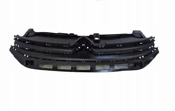 Citroen C3 Front grill 9812063477