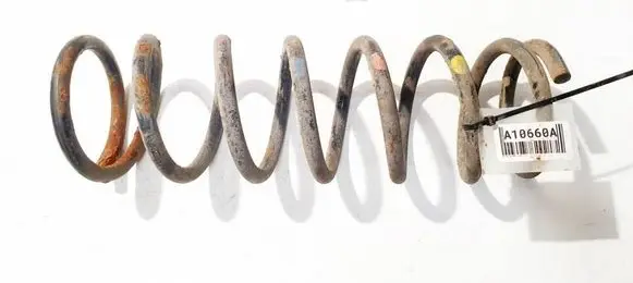 Rear coil spring