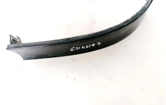 Rear/tail light trim molding