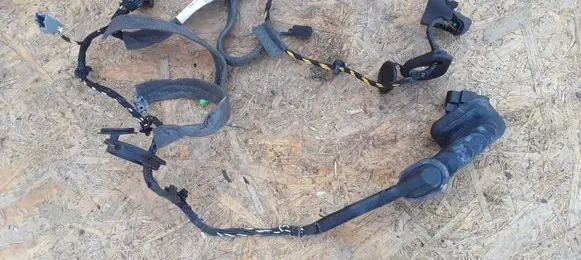 Front door wiring loom