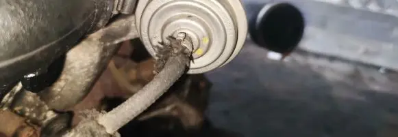 EGR valve