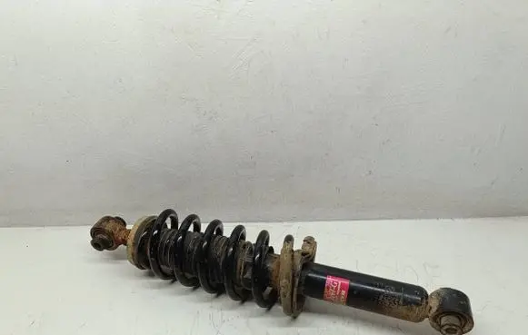 Peugeot 508 Rear shock absorber with coil spring 9651966980