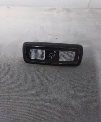 Ford Bronco Boot/trunk interior light M1PA13A756CA 20103132