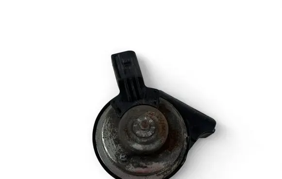 Volkswagen PASSAT B7 Alarm system siren E30055307
