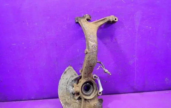Volkswagen PASSAT B5.5 Front wheel hub spindle knuckle