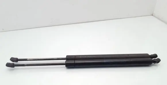 Tailgate/trunk strut/damper