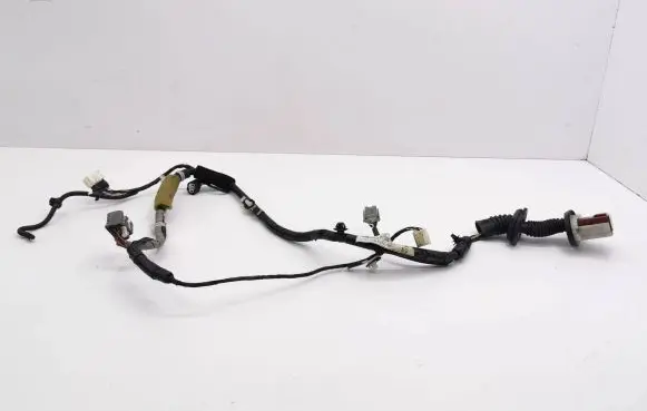 Front door wiring loom