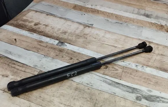 Opel Astra H Tailgate/trunk strut/damper 244638295133