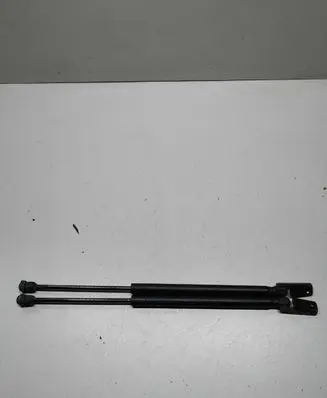 Tailgate/trunk strut/damper
