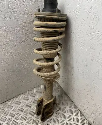 Land Rover Freelander Rear shock absorber with coil spring 22234677