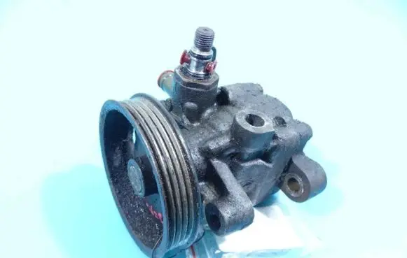 Electric power steering pump