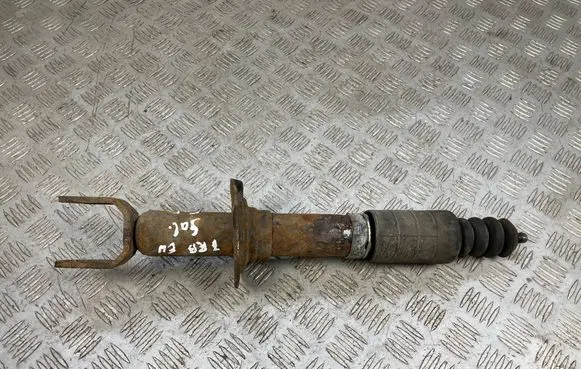 Subaru B9 Tribeca Rear shock absorber/damper