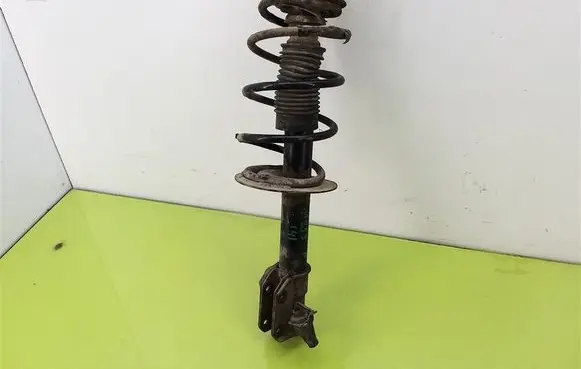 Fiat Punto (188) Front shock absorber with coil spring 