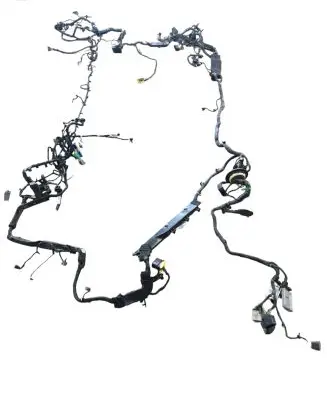 Chevrolet Camaro Other wiring loom 1928405782 13557091D 7173296830