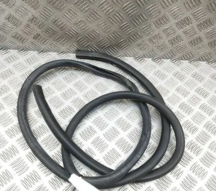 Lexus GS 250 350 300H 450H Rubber seal front coupe door 6231230250